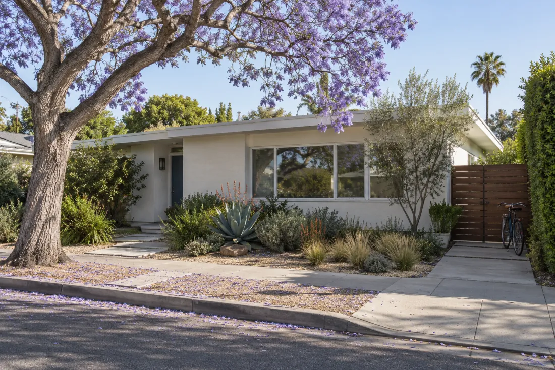 Representative neighborhood scene: A mid-century home and native garden in a Westside residential setting