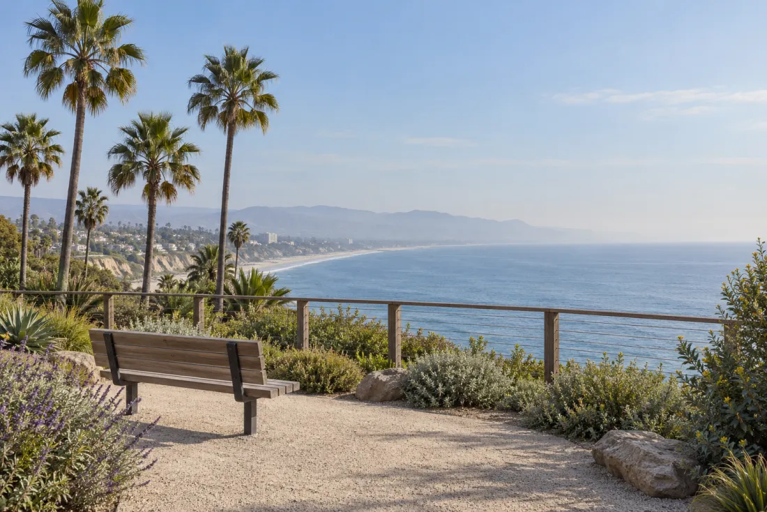 Representative neighborhood scene: A palm-lined coastal overlook and bench above the Pacific